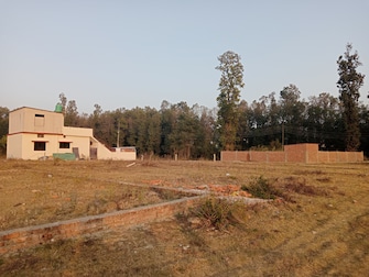 Plot For Resale in Dhaulas  Dehradun  7447628