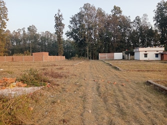 Plot For Resale in Dhaulas  Dehradun  7447628