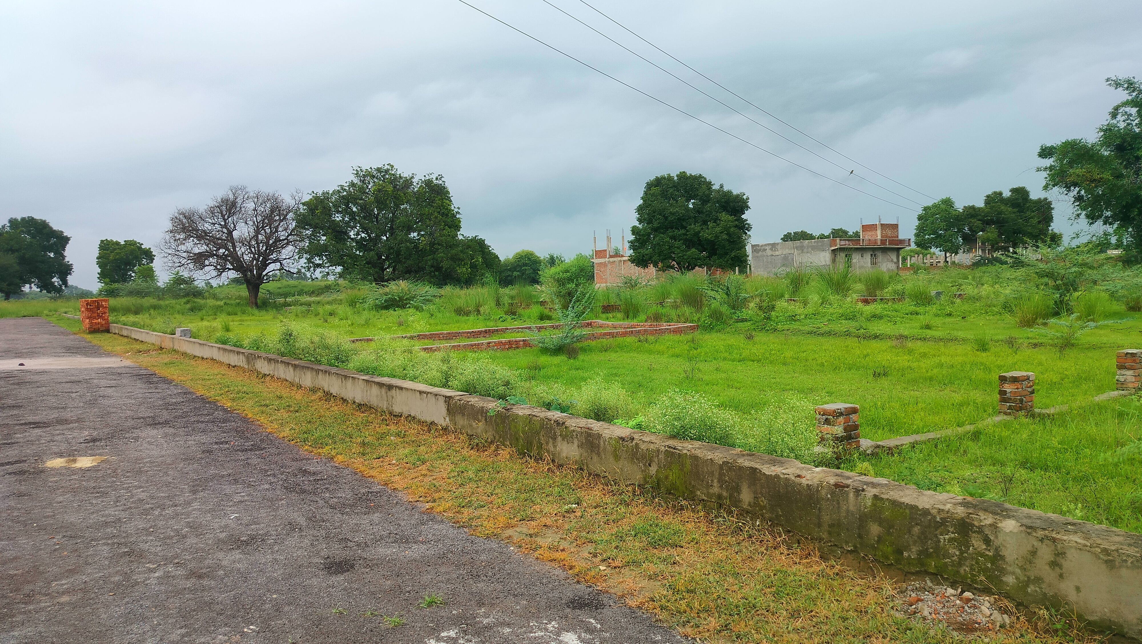 Plot For Resale in Sgpgi Lucknow  7447738