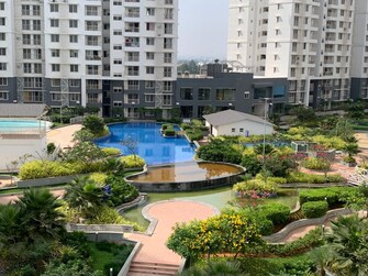 2.5 BHK Penthouse For Rent in Puravankara Purva Promenade Hennur Road Bangalore  7448060