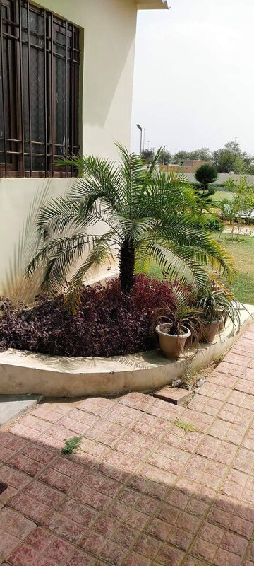  Plot – Exterior View View at Tonk Road - for Sale