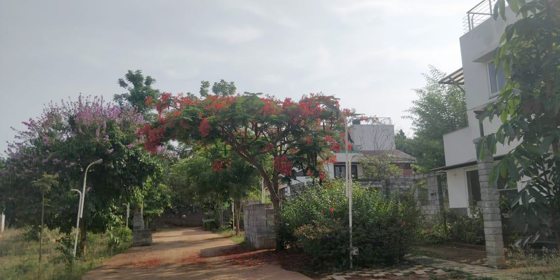 Plot For Resale in Jp Nagar Phase 9 Bangalore  7448348