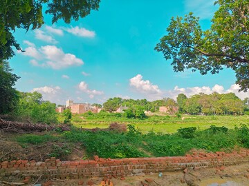 Plot Area in  Plot at Jafrapur – for Sale