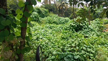  Plot – Garden View at Subramanyapura - for Sale