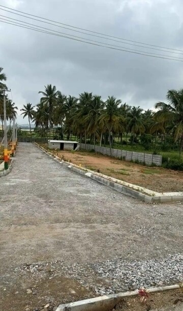 Plot For Sale in Mysore Road