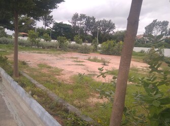 Plot For Resale in ABD Downtown Budigere Bangalore  7449330