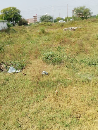 Plot For Resale in Sector 9 Jhajjar  7449400