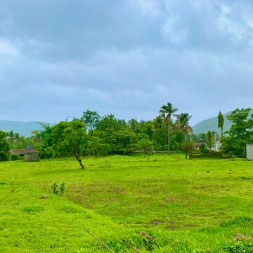  Plot For Sale in Alibag