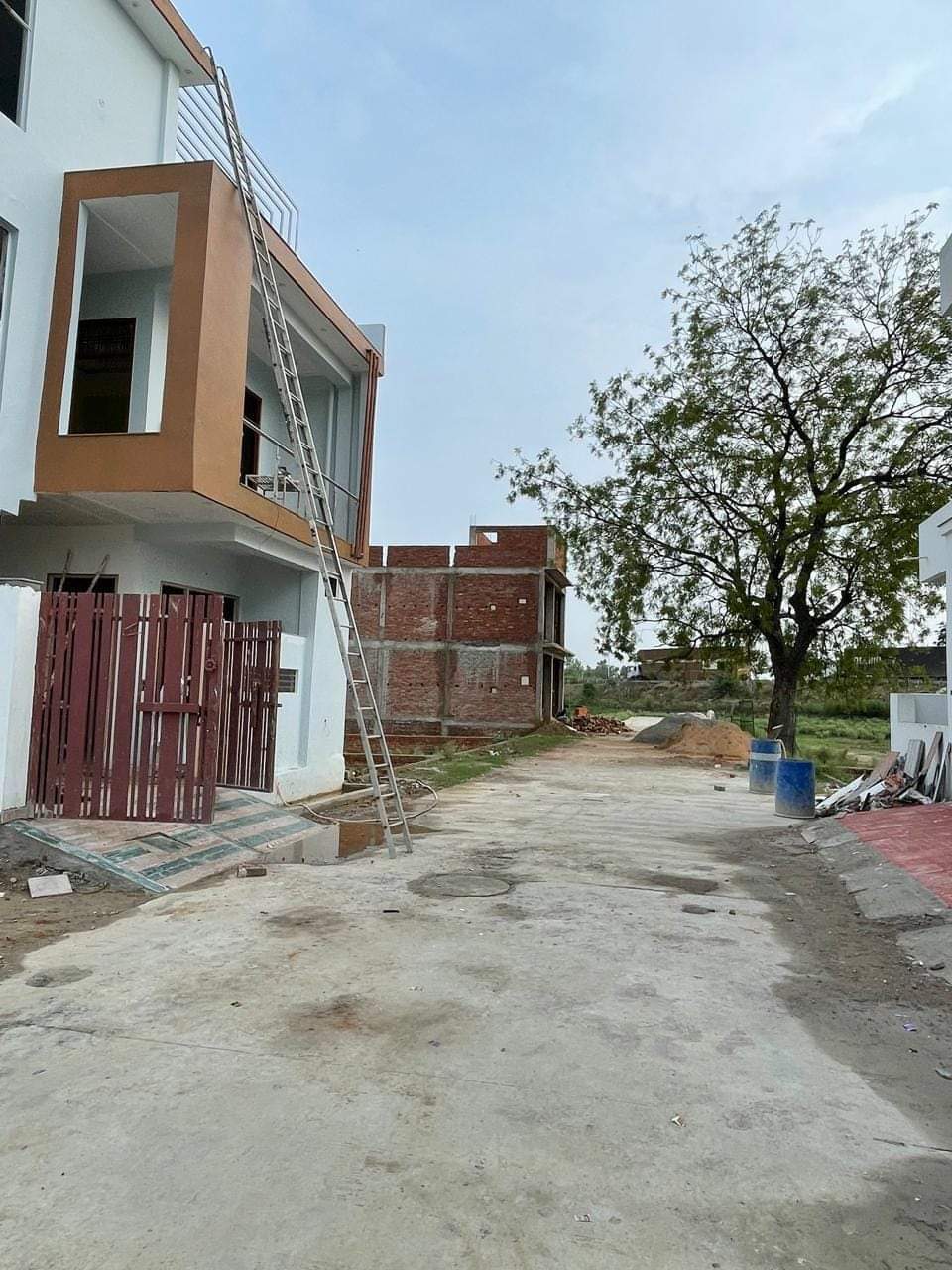 Plot For Resale in Indira Nagar Lucknow  7450017