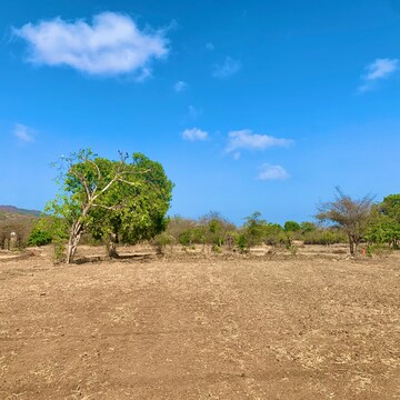 Plot Area in  Plot at Alibag – for Sale