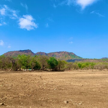 Plot Area in  Plot at Alibag – for Sale