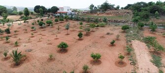 Commercial Land 9800 Sq.Ft. For Resale in Kelamangalam rd Hosur  7450373