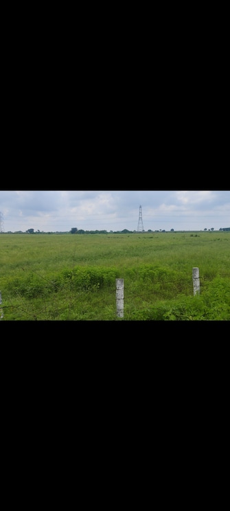 Commercial Land 250 Acre For Resale in Keshampet Hyderabad  7450402