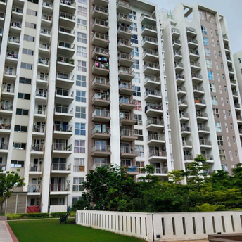 2 BHK Apartment For Rent in Tata La Vida Bajghera Gurgaon  7450437