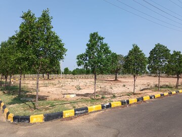 Plot For Resale in Bachupally Hyderabad  7450476