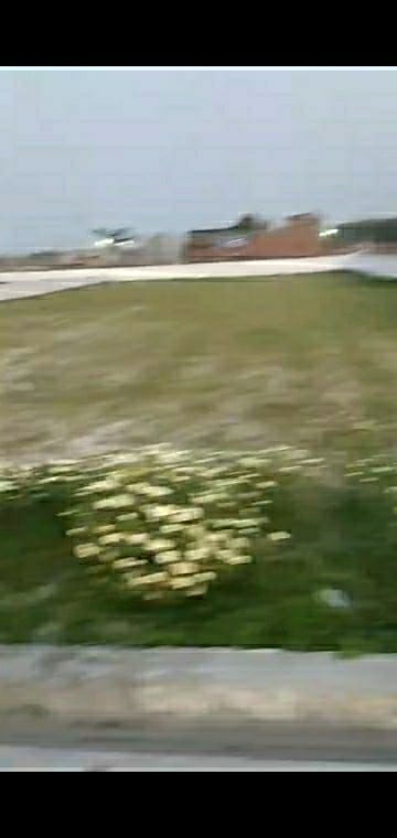  Plot – Garden View at Oneiric Pacific Residency, Sector 81 - for Sale