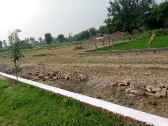 Plot For Resale in Ayodhya Faizabad  7450764