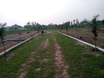 Plot For Resale in Ayodhya Faizabad  7450764