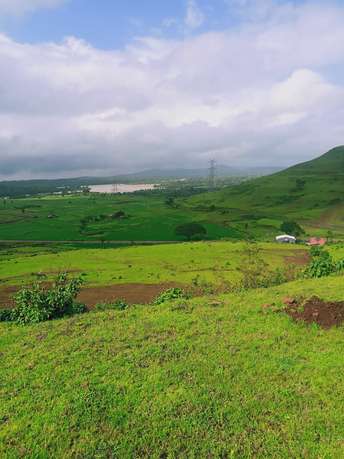 Plot For Resale in Trimbak Nashik  7091824