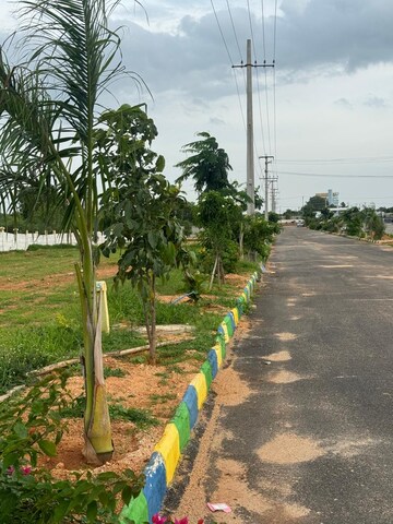 Plot For Resale in Yuva Park Shadnagar Hyderabad  7451291