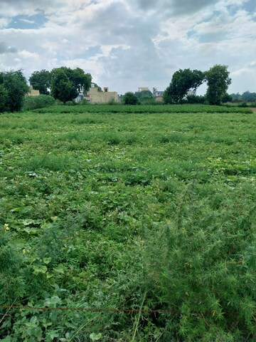  Land – Garden View at Jasana Princes Park, Neharpar - for Sale