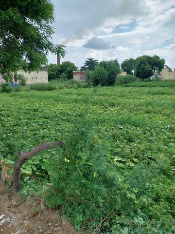  Land – Garden View at Jasana Princes Park, Neharpar - for Sale