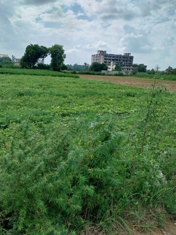  Land – Garden View at Jasana Princes Park, Neharpar - for Sale
