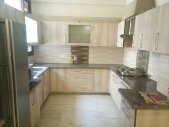 3 BHK Apartment For Rent in Affinity Greens International Airport Road Zirakpur  7448383