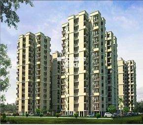 1 BHK Apartment For Rent in Auric City Homes Sector 82 Faridabad  7452021