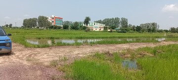 Plot Area in  Plot at Mohammad Heri Village – for Sale