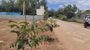  Plot – Exterior View View at Gantiganahalli - for Sale