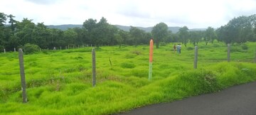  Plot For Sale in Mangaon