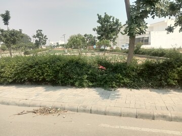  Plot – Exterior View View at Omaxe New Chandigarh, North Mullanpur - for Sale