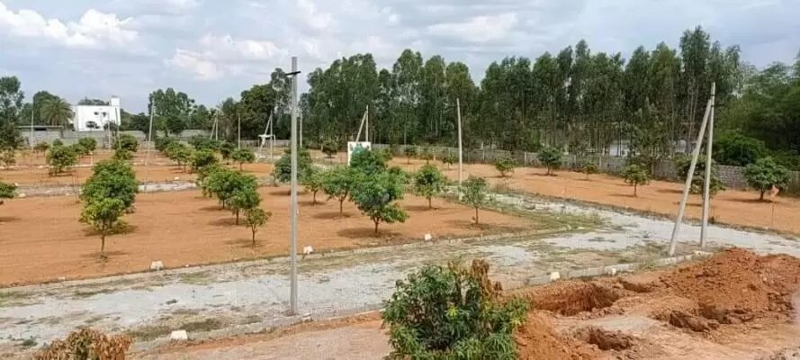 Plot For Resale in Samethanahalli Bangalore  7453117