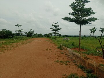 Plot Area in  Plot at Aduri Dream Valley, Vittyal – for Sale