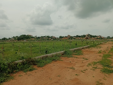  Plot For Sale in Aduri Dream Valley, Vittyal