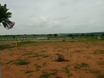 Plot For Resale in Aduri Dream Valley Vittyal Hyderabad  7453267