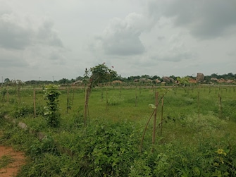 Plot For Resale in Aduri Dream Valley Vittyal Hyderabad  7453267