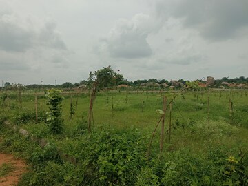 Plot Area in  Plot at Aduri Dream Valley, Vittyal – for Sale