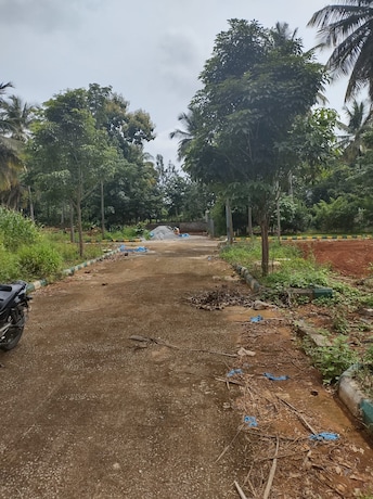 Plot For Resale in Doddabommasandra Bangalore  7453360