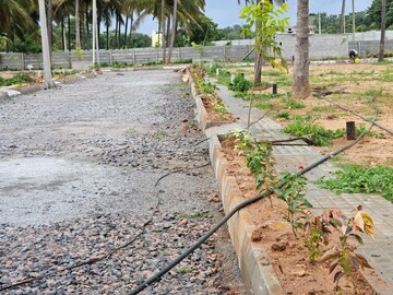 Plot Area in  Plot at Dodda Aalada Mara Road – for Sale