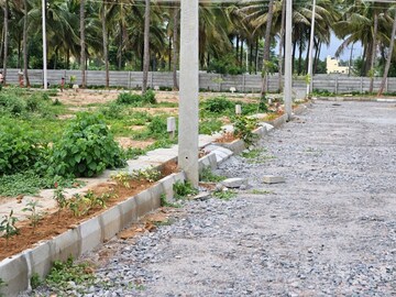 Plot Area in  Plot at Dodda Aalada Mara Road – for Sale