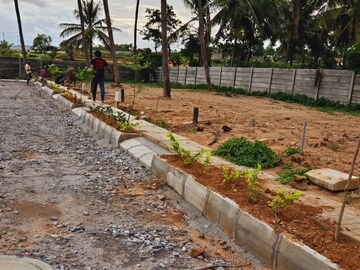 Plot Area in  Plot at Dodda Aalada Mara Road – for Sale