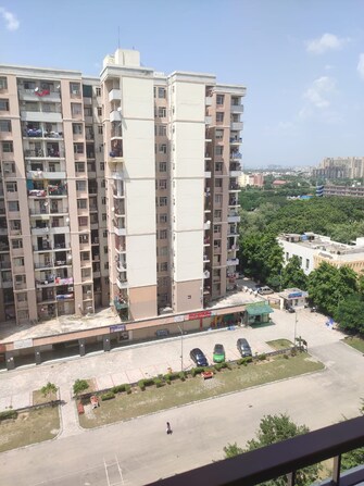 3 BHK Builder Floor For Resale in Auric City Homes Sector 82 Faridabad  7454060