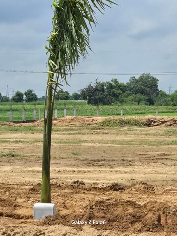 Plot Area in  Plot at Chaumuhan – for Sale