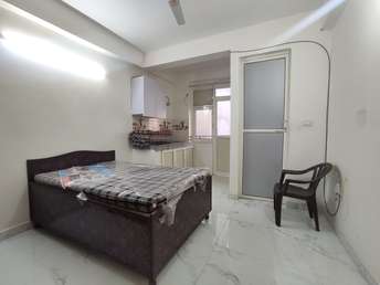 1 RK Apartment For Rent in Saket Delhi  7454144