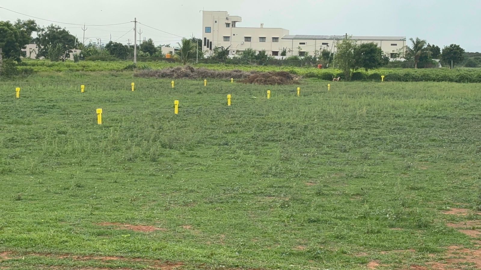 Plot For Resale in Mangalagiri Vijayawada  7454221