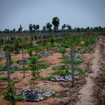 Plot Area in  Plot at Turkayamjal – for Sale