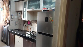 1 BHK Apartment For Resale in Hiranandani Estate Oyster Ghodbunder Road Thane  7454715