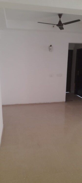 2 BHK Apartment For Rent in Stellar Jeevan Noida Ext Sector 1 Greater Noida  7454735